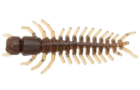 MICRO FINESSE HELLGRAMMITE - Image 4