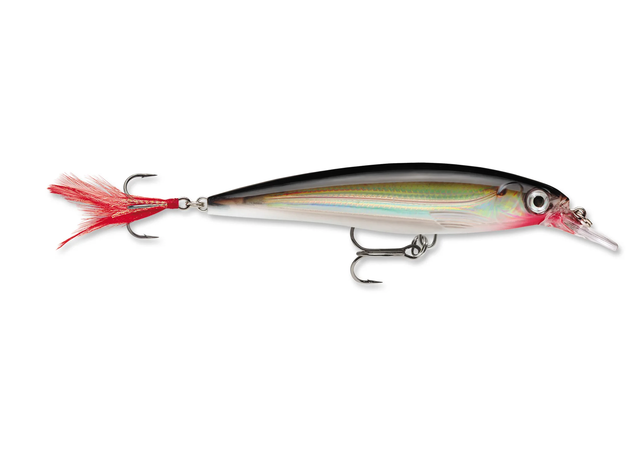 RAPALA X-RAP - Image 13