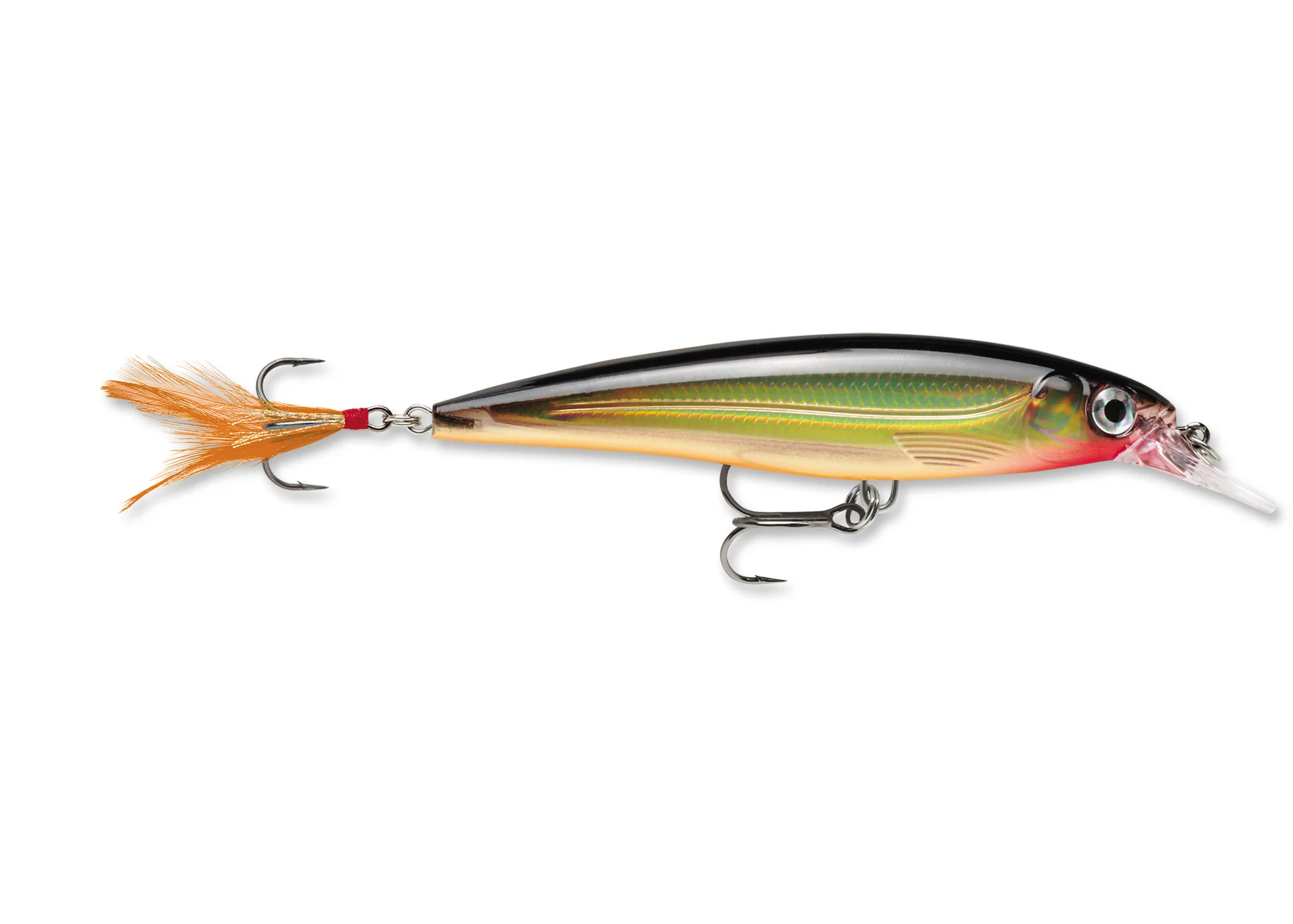 RAPALA X-RAP - Image 3